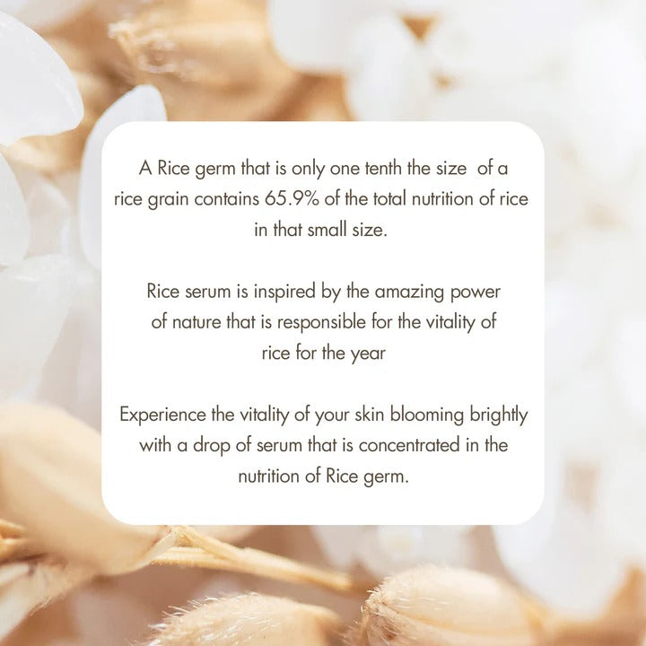 Rice Serum (30ml)