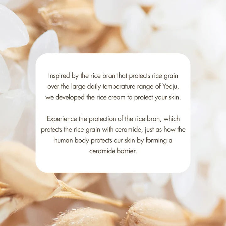 Rice Cream (50g)