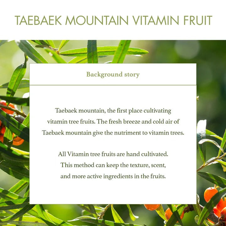 Vitamin Fruit Serum (30ml)