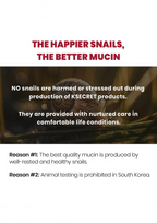 SEOUL 1988 Cream : Snail Mucin 93% + Rice (100ml)