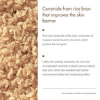 Rice Cream (50g)