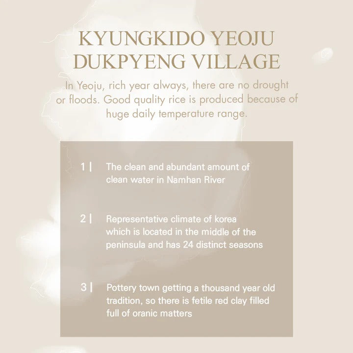 Rice Mask (110g)