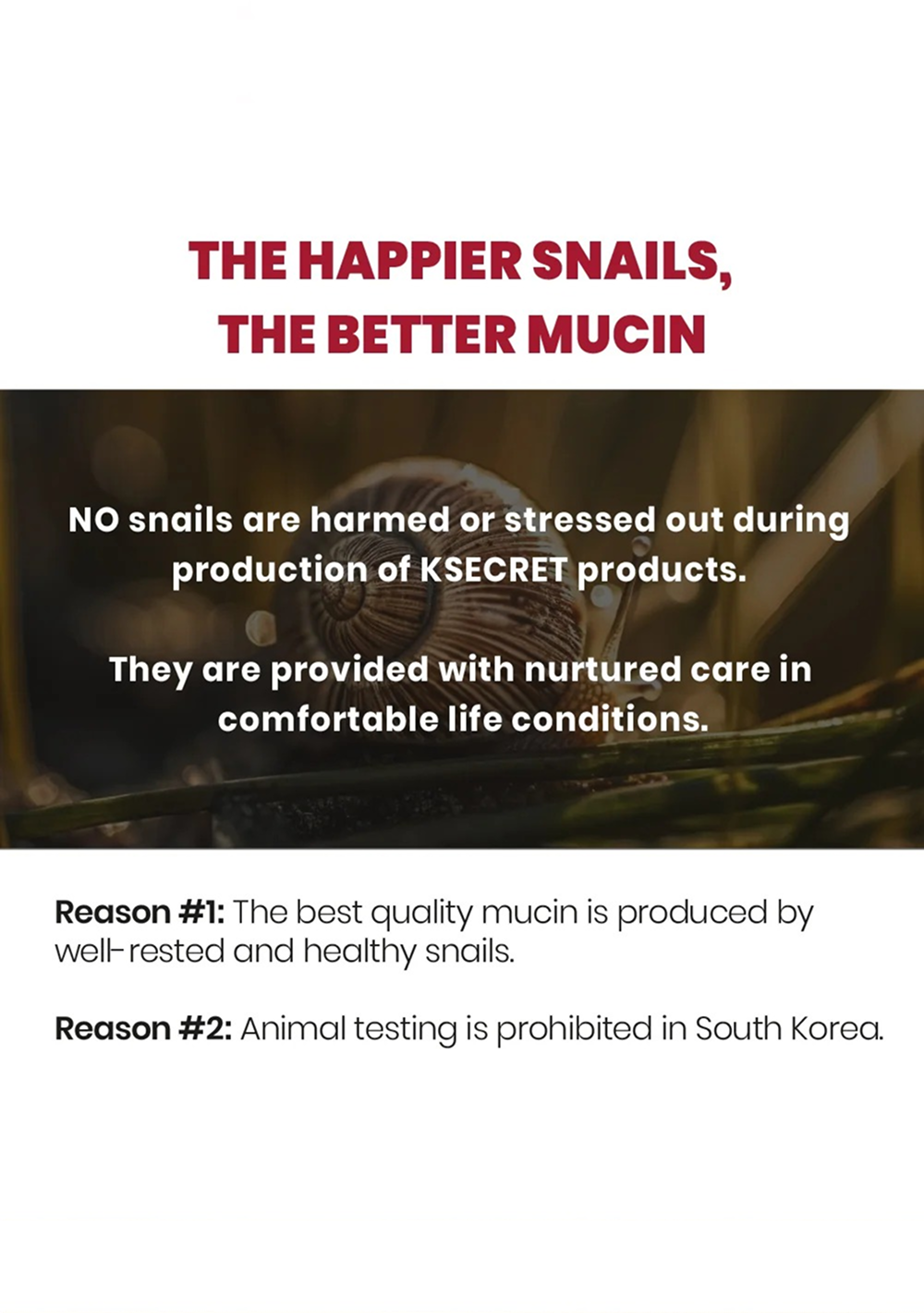 SEOUL 1988 Essence : Snail Mucin 97% + Rice (100ml)