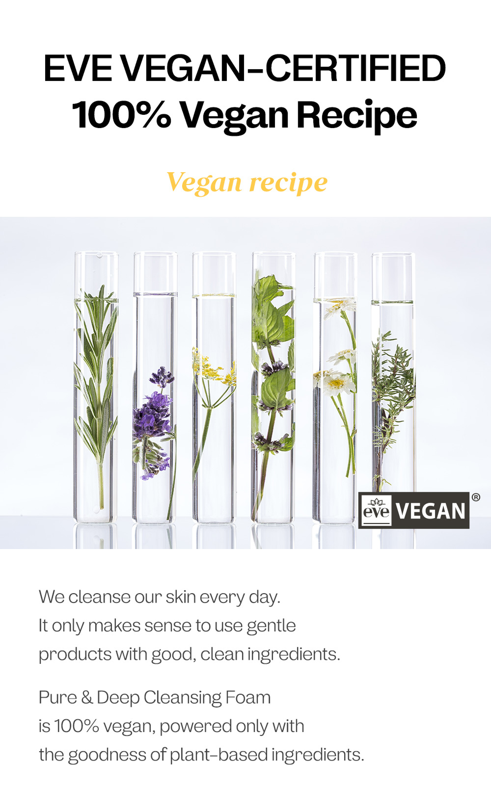Pure & Deep Cleansing Foam