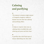 Mugwort Essence (160ml)