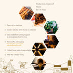 Honey Serum (30ml)