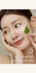 Mugwort Serum (30ml)