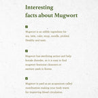 Mugwort Essence (160ml)