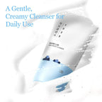 1025 Dokdo Cleanser (150ml)