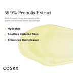 Propolis Honey Overnight Mask (60ml)