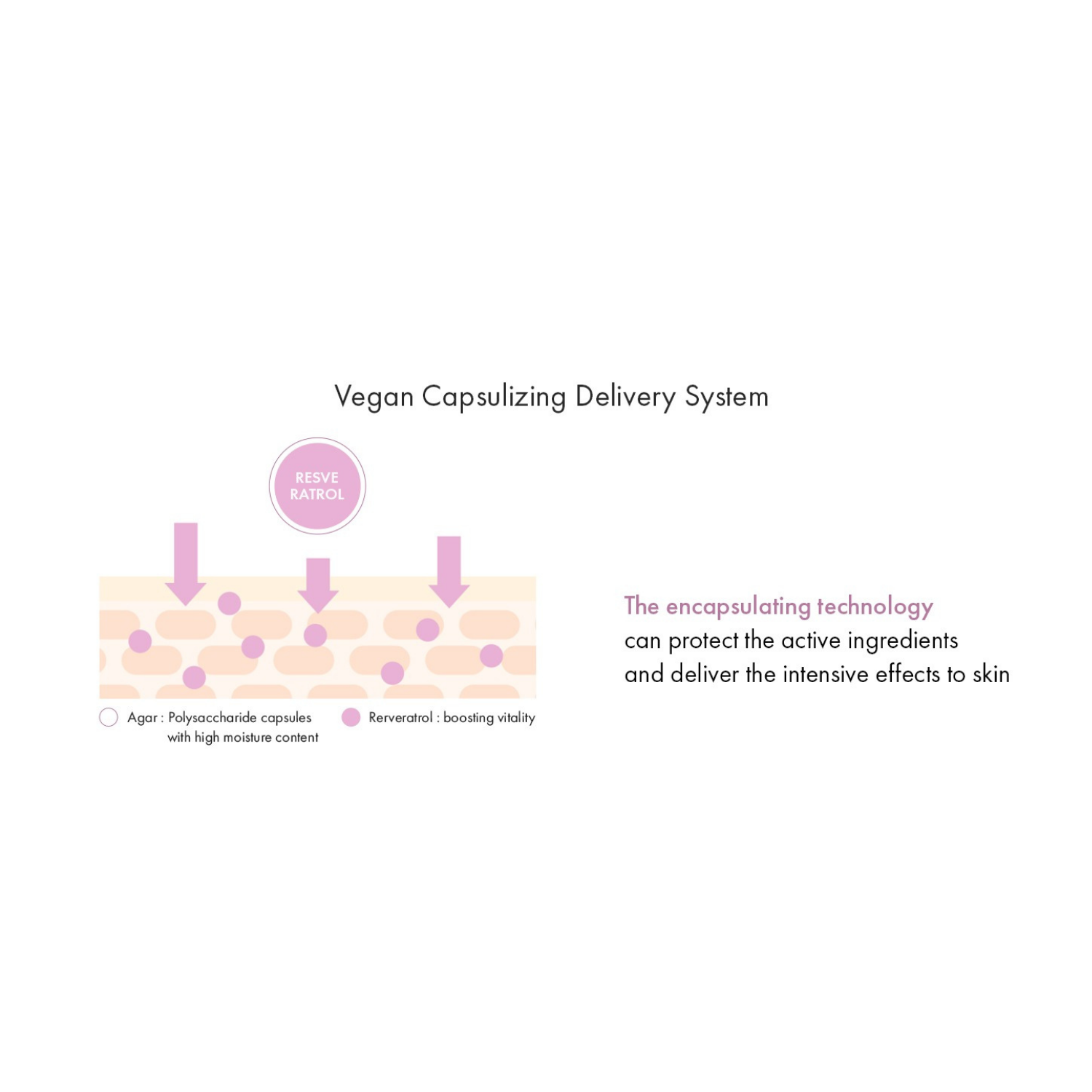 Vegan Active Berry First Essence (150ml)