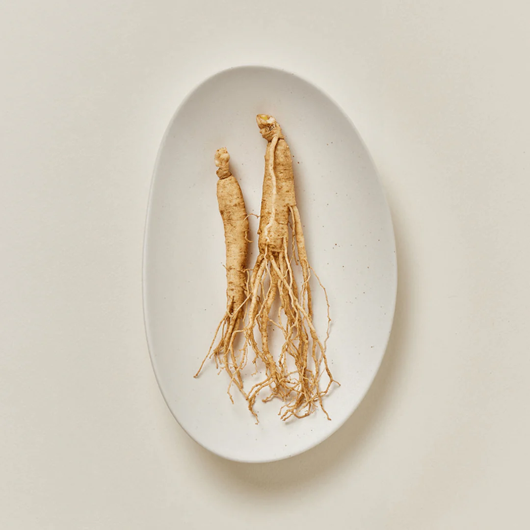 Ginseng Moist Sun Serum (50ml)