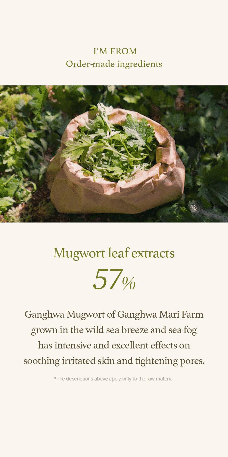 Mugwort Serum (30ml)