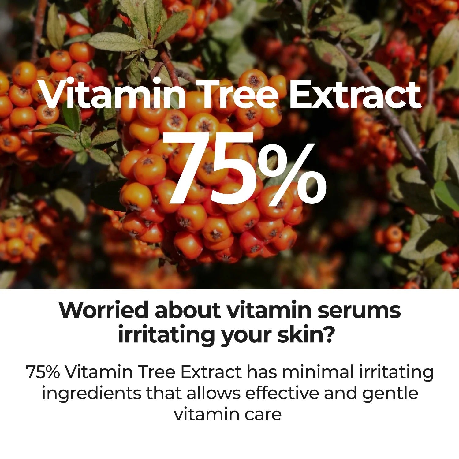 No. 5 Goodbye Blemish Serum (50ml)