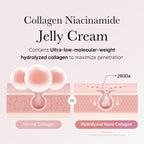 Collagen Jelly Cream (110ml)
