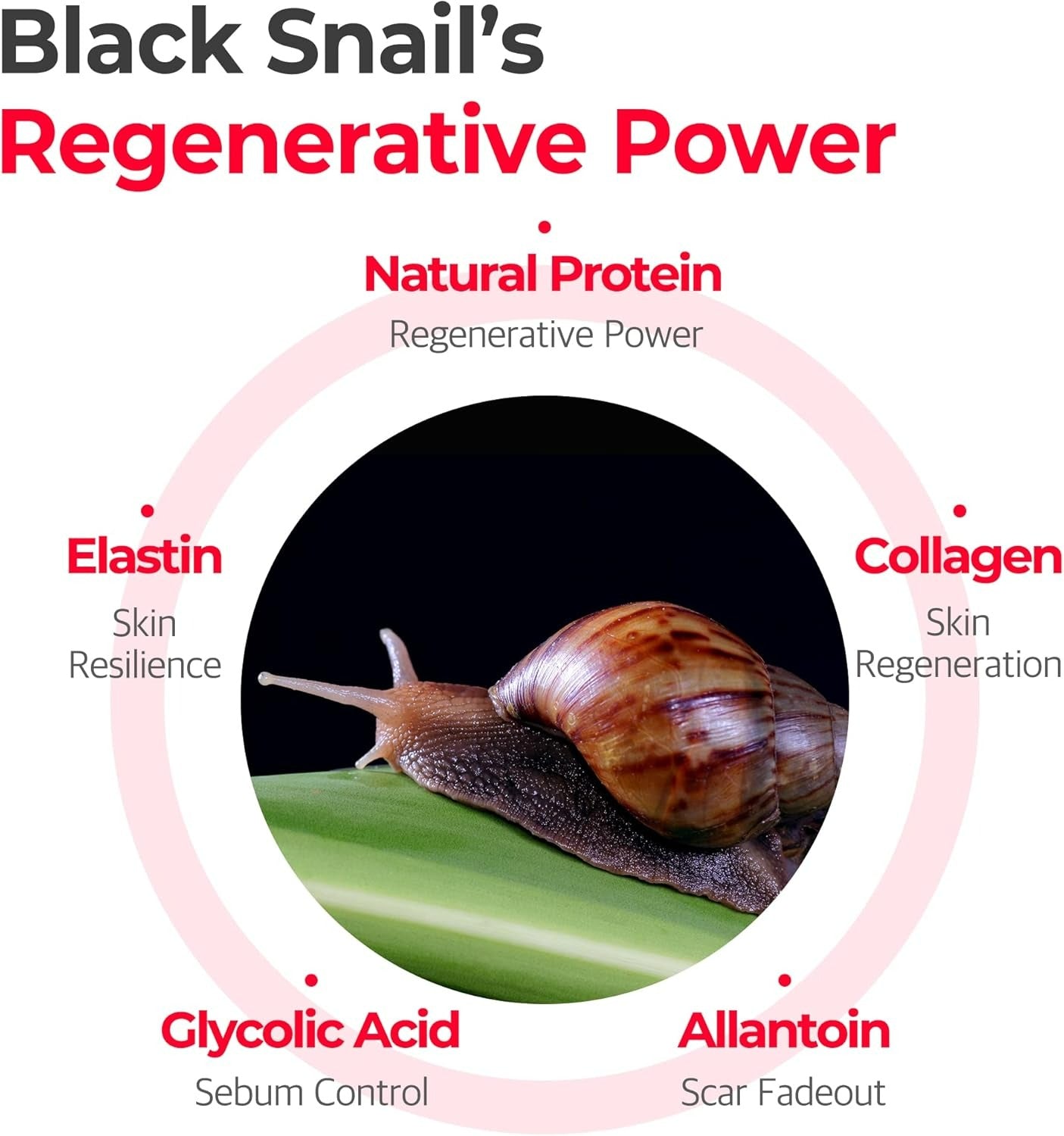 Snail Truecica Miracle Repair Toner (150ml)
