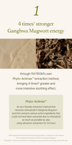 Mugwort Serum (30ml)