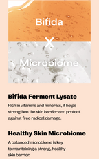 Bifida Biome Concentrate Cream