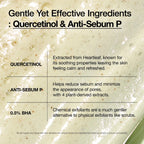 Heartleaf Quercetinol Pore Deep Cleansing Foam (150ml)