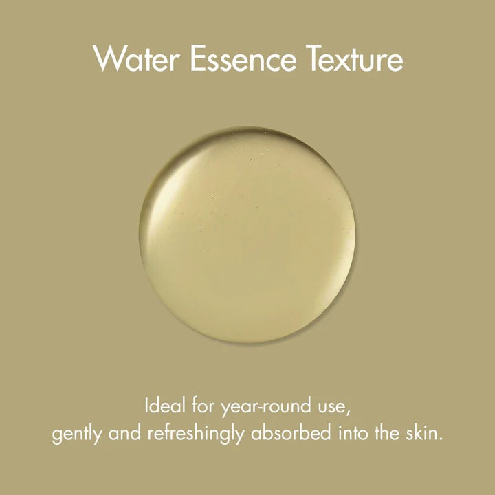 Mugwort Essence (160ml)