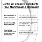 Rice 7 Ceramide Hydrating Barrier Serum (50ml)