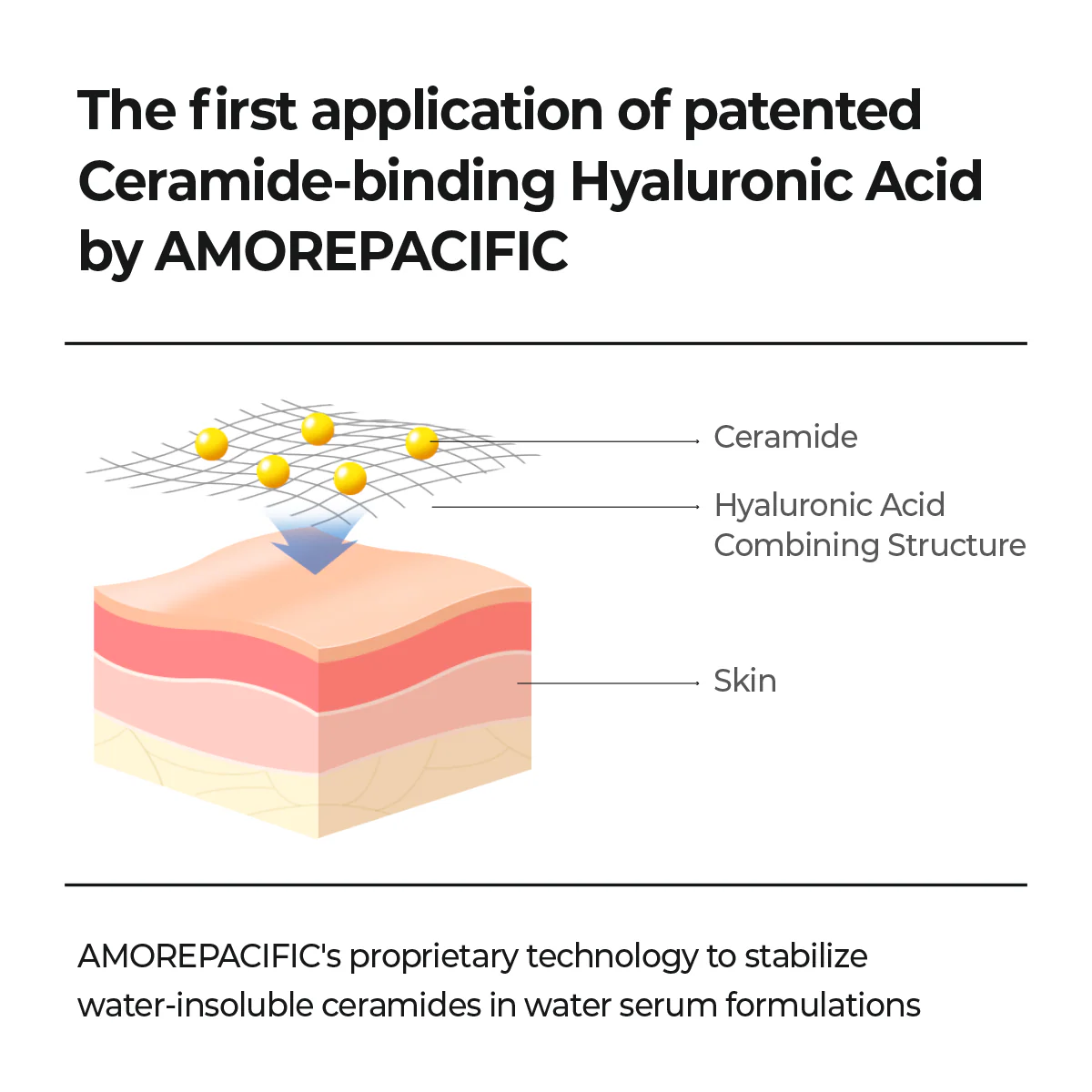 Ato Barrier 365 Hydro Cera-Ha Serum (30ml)