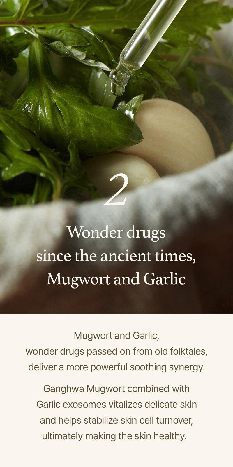 Mugwort Serum (30ml)