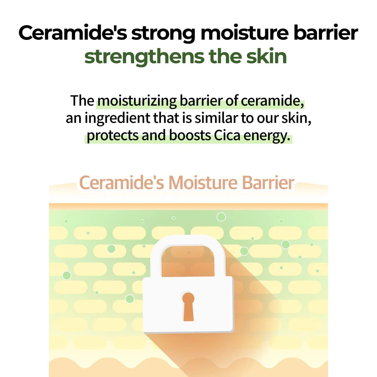 No. 2 Cica Ceramide Repair Cream (60ml)