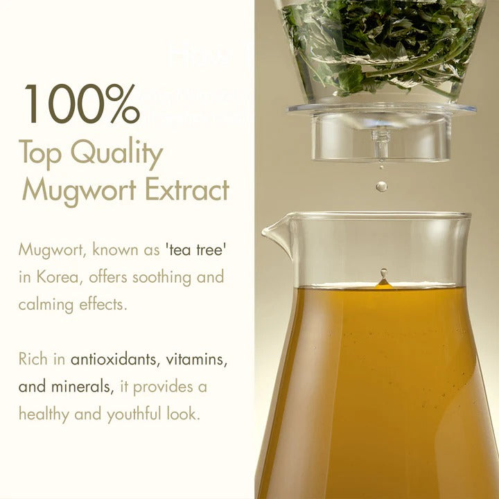 Mugwort Essence (160ml)