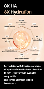 Bifida Biome Concentrate Serum