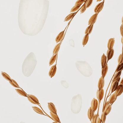 Glow Deep Serum : Rice + Alpha-Arbutin(30ml)