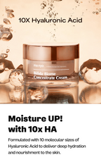 Bifida Biome Concentrate Cream