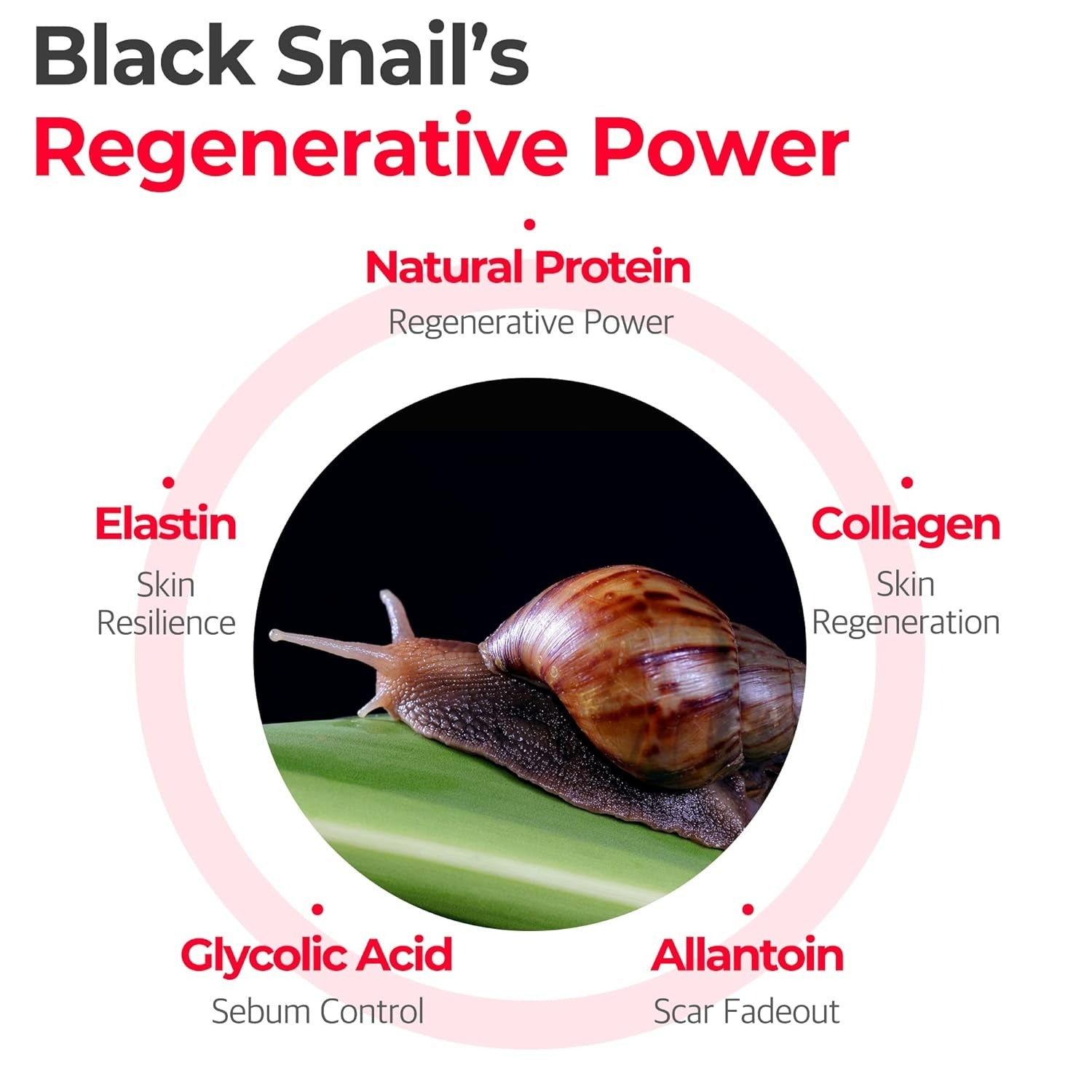 Snail Truecica Miracle Repair Cream (60g)