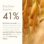 Rice Cream (50g)