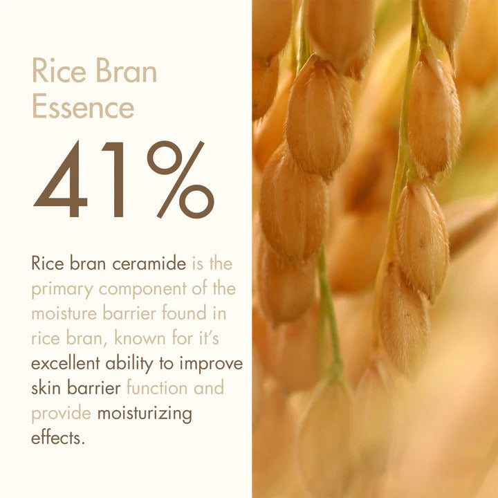 Rice Cream (50g)