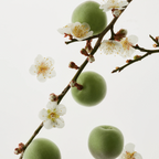 Green Plum Refreshing Toner: AHA + BHA (150ml)