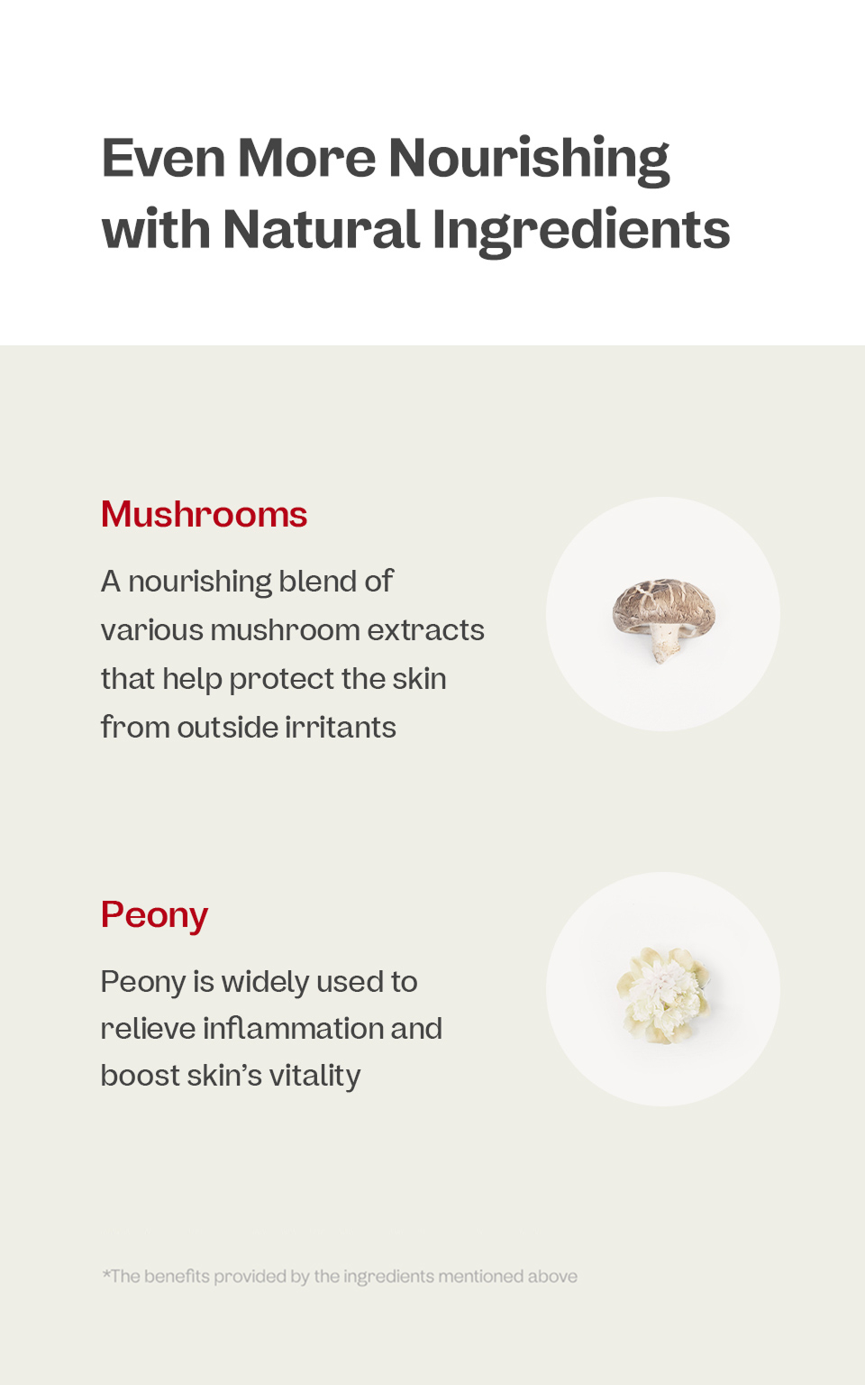 Bifida Ampoule Mist
