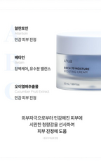 Birch 70 Moisture Boosting Cream (50ml)