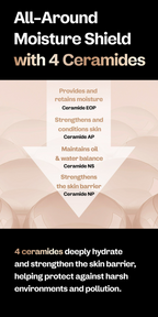 Bifida Biome Concentrate Serum