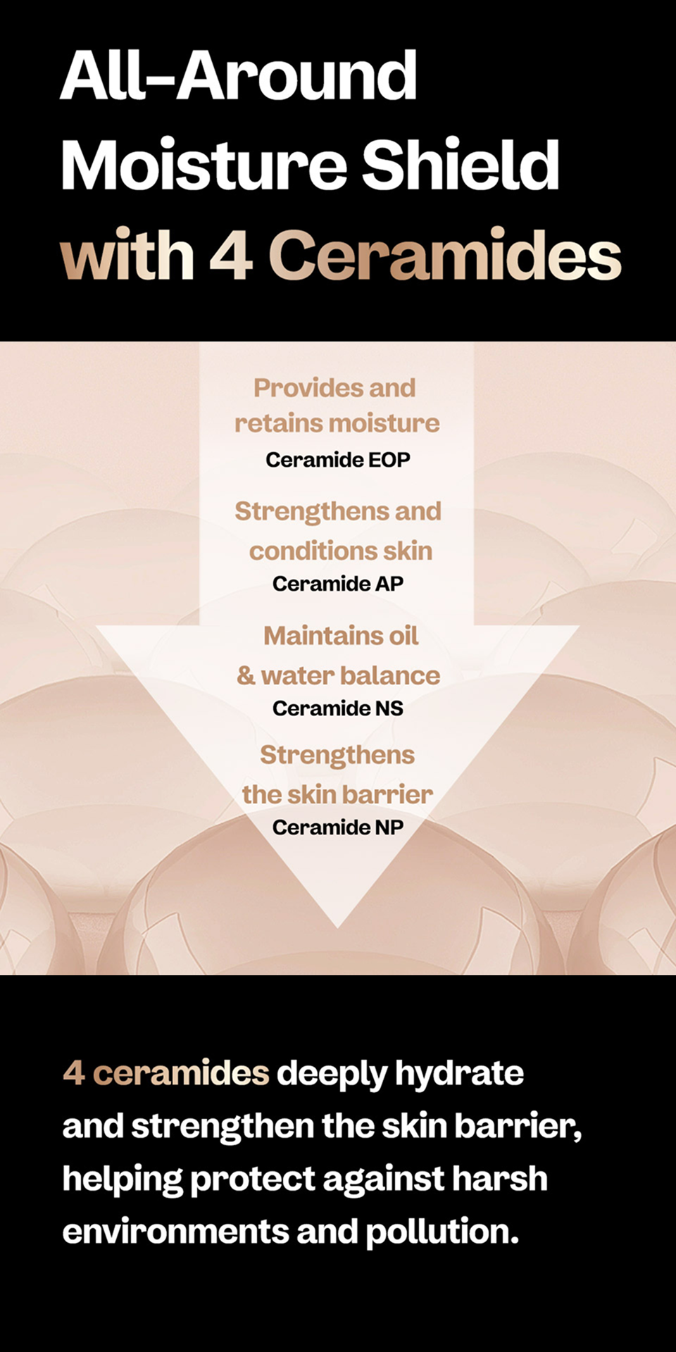 Bifida Biome Concentrate Serum
