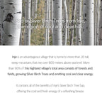 Birch Juice Moisturizing Tone Up Sunscreen (50ml)