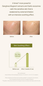 Mugwort Serum (30ml)