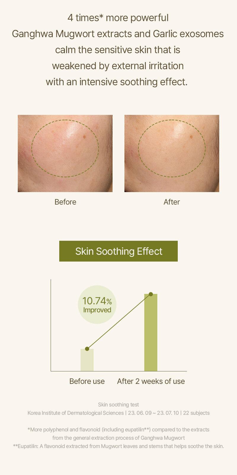 Mugwort Serum (30ml)