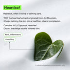 Acne Foam Cleanser Heartleaf Foam (150ml)