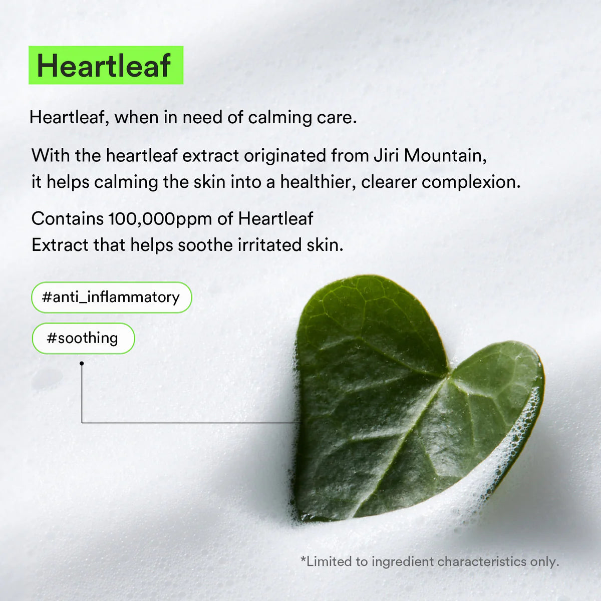 Acne Foam Cleanser Heartleaf Foam (150ml)