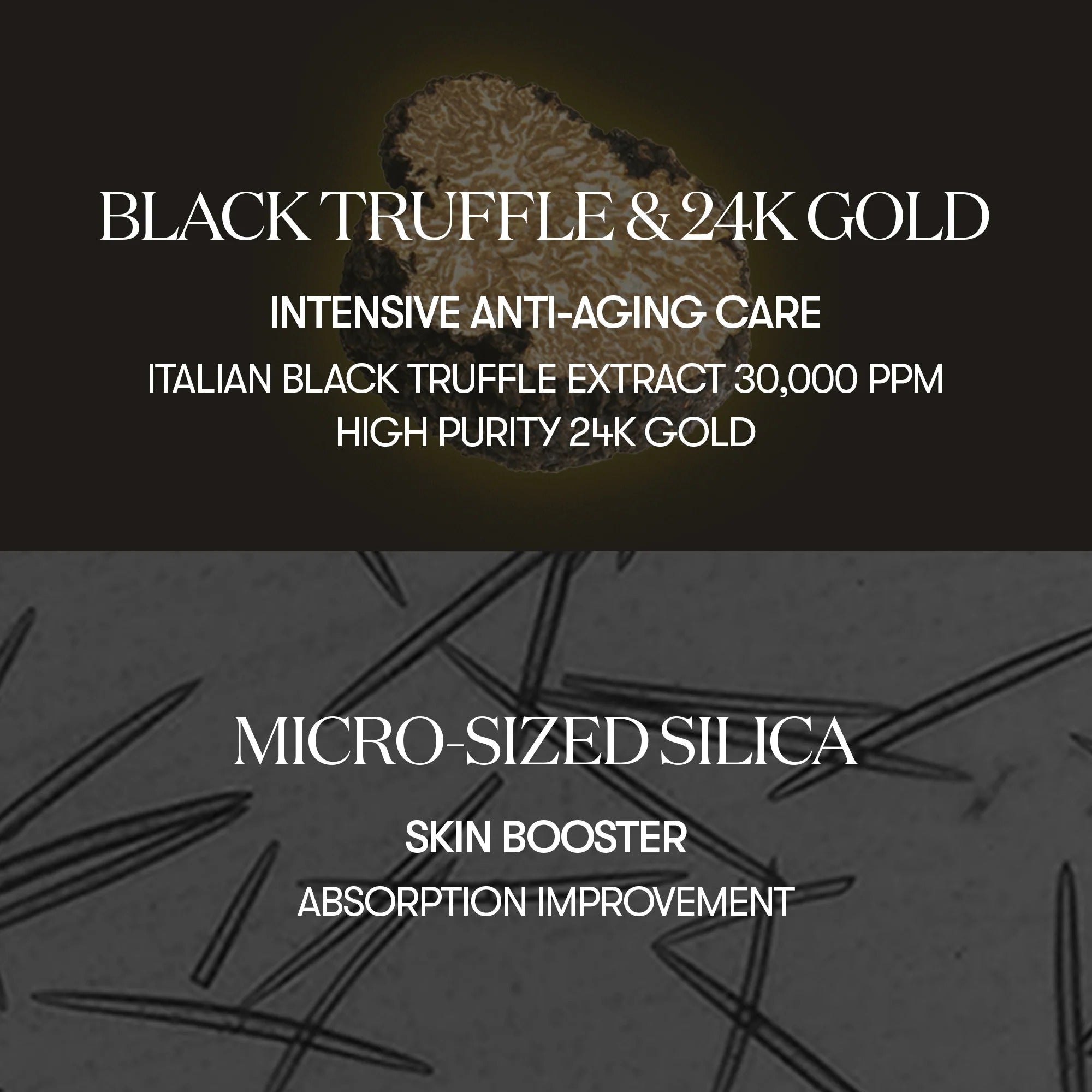 Black Truffle Reedle Shot 100 (50ml)