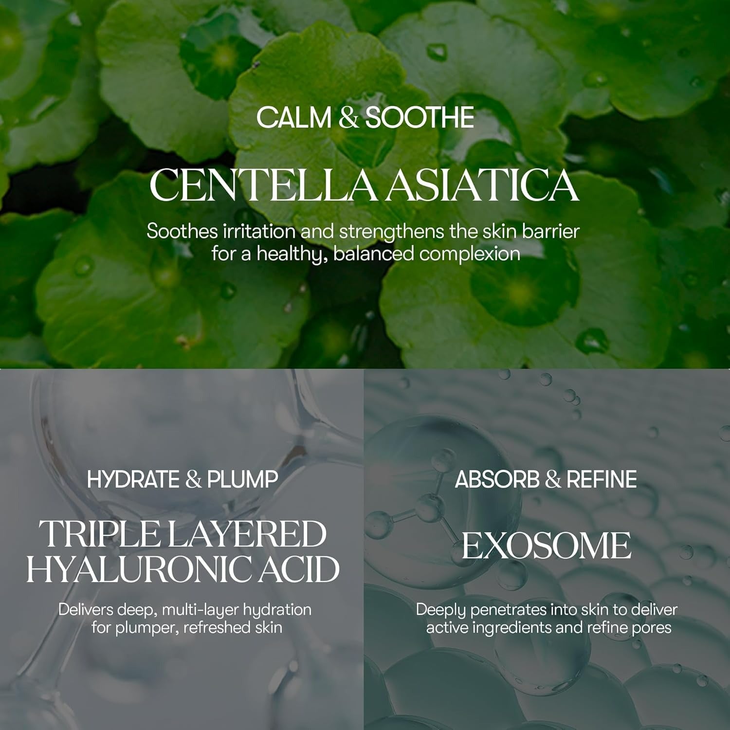 Cica-Exosome Moisture Mask (20pcs)