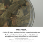 Heartleaf Essence Calming Pump (50ml)