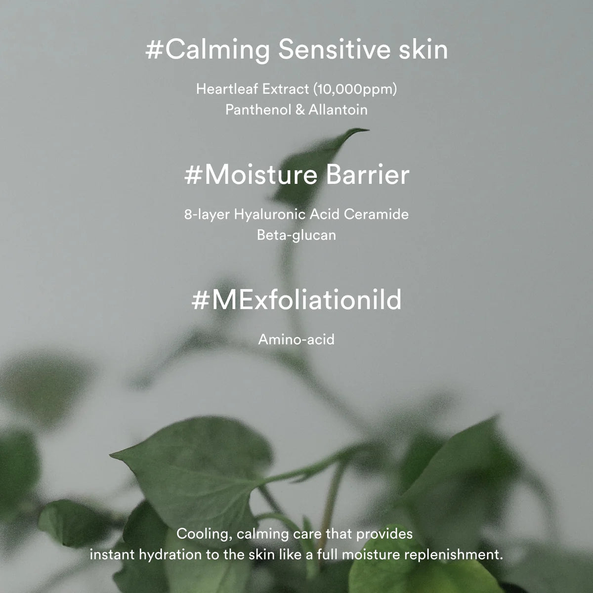 Heartleaf Creme Calming Tube (75ml)