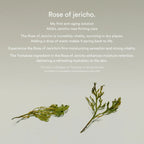 Jericho Rose Collagen Pad Firming Touch (250ml)
